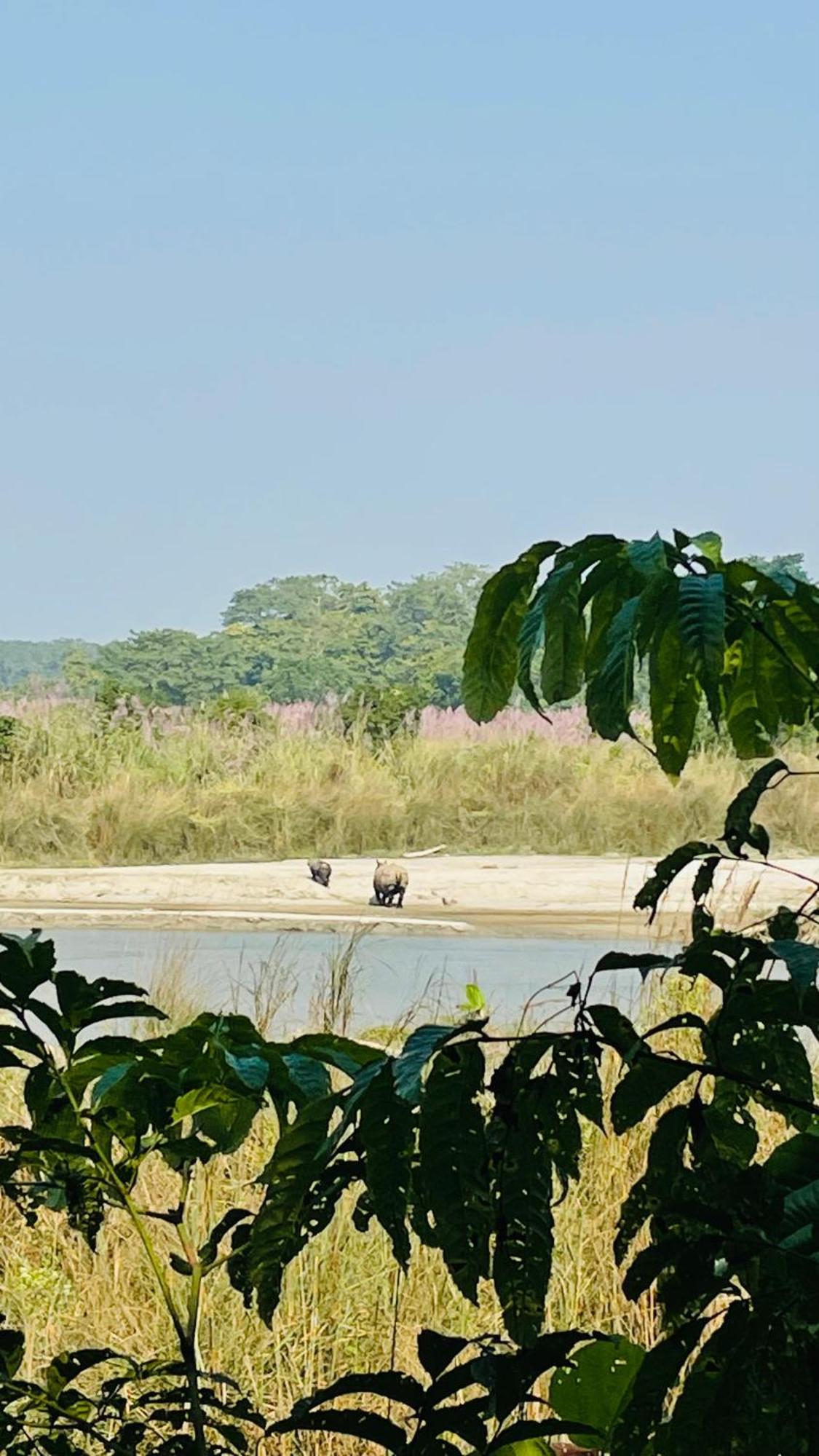 Hotel Tree Tops- A Serene Friendly Hotel In Sauraha Chitwan Exterior photo