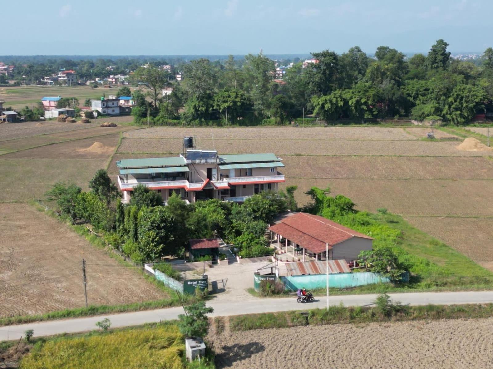 Hotel Tree Tops- A Serene Friendly Hotel In Sauraha Chitwan Exterior photo