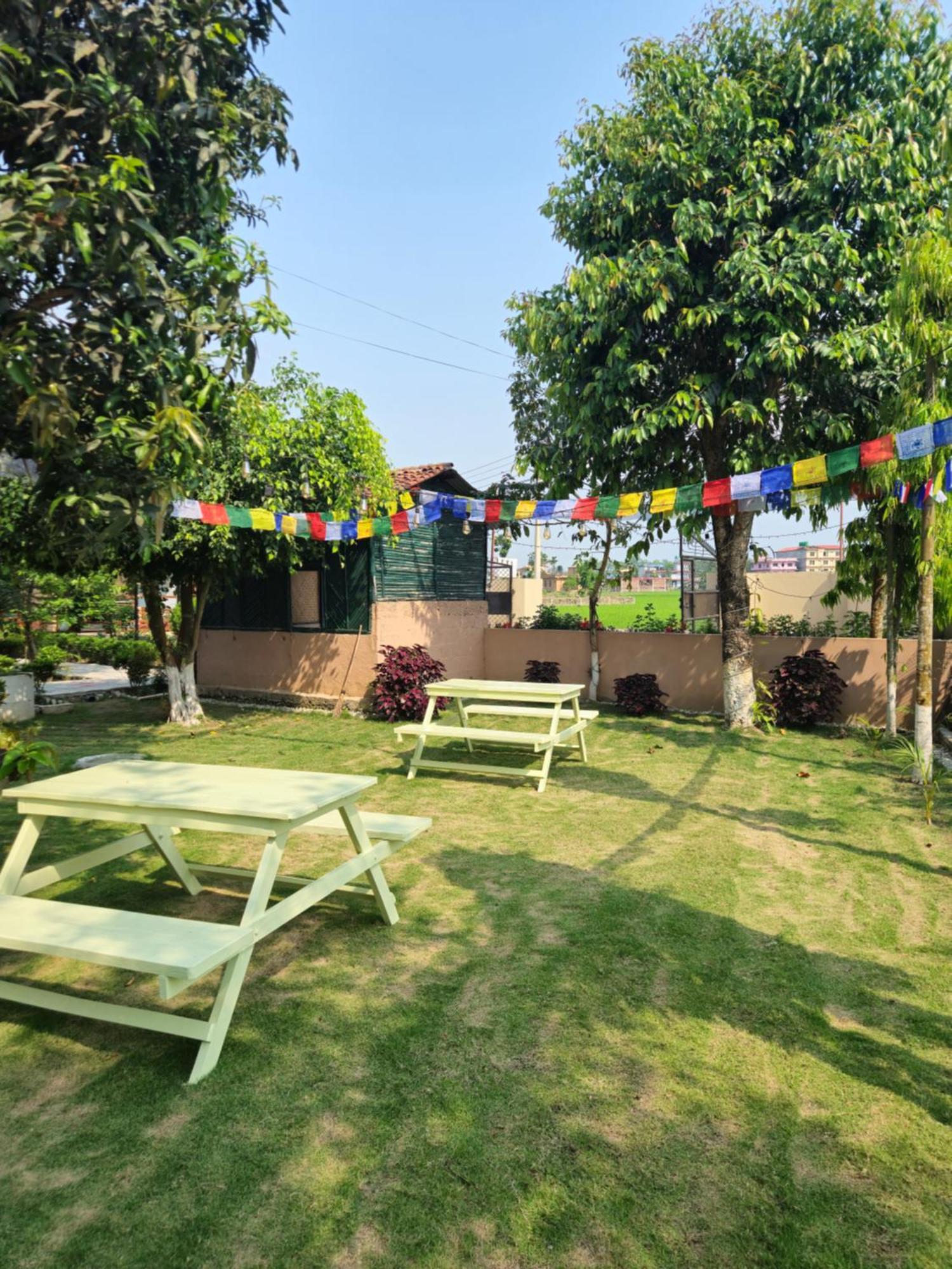 Hotel Tree Tops- A Serene Friendly Hotel In Sauraha Chitwan Exterior photo