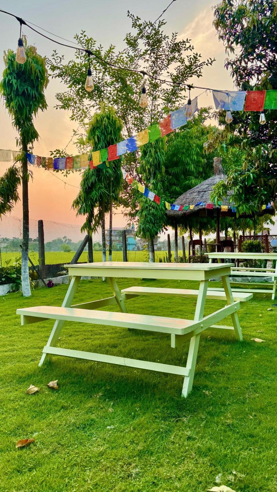 Hotel Tree Tops- A Serene Friendly Hotel In Sauraha Chitwan Exterior photo